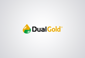 Dual Gold - 0